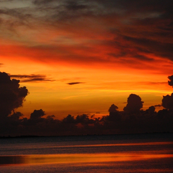 Joy - Picture 6 of 8